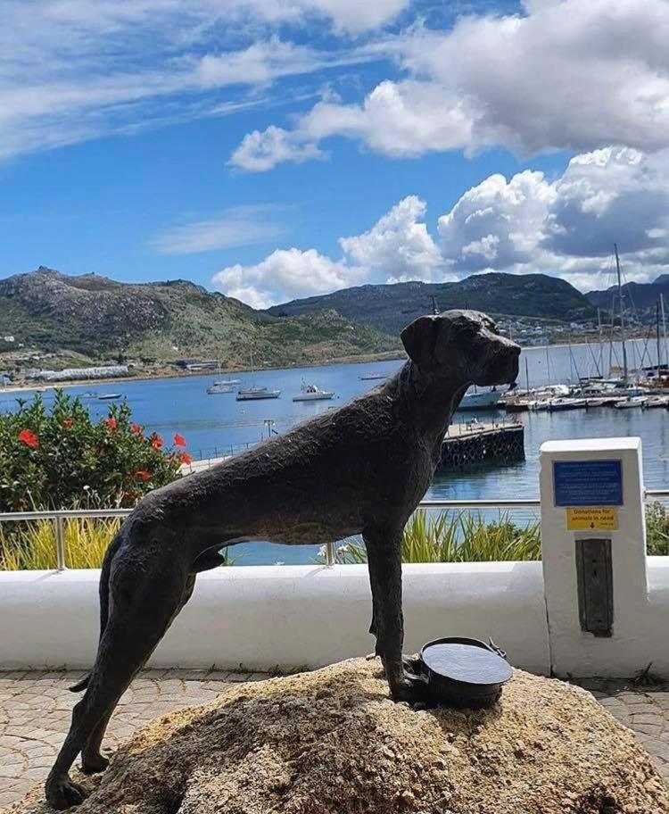 Willa Eindelik Simonʼs Town Zewnętrze zdjęcie